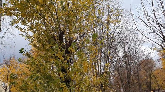 Обзор влогов / Многомама / Скучная жизнь / Шлаковые влоги Юльки