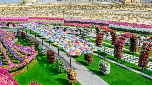 Чудо-сад в Дубае. смотреть онлайн