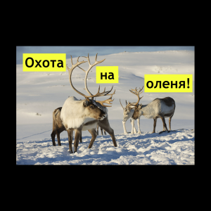 Охота на оленя..mp4