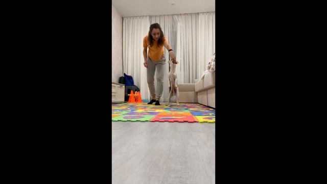 Кружочки смотреть онлайн