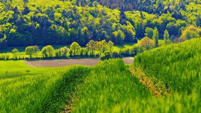 Евангелие и Святые дня. Апостольские чтения. Прав. Филаре́та Милостивого (792). (14.12.21)