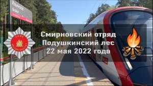 Поход в лес со Смирновским отрядом 22 мая 2022 года