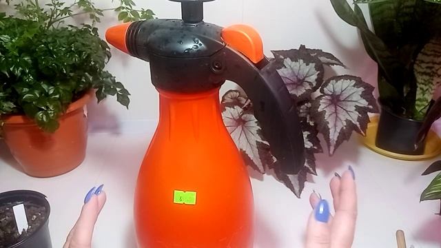 Обработка комнатных растений. смотреть онлайн