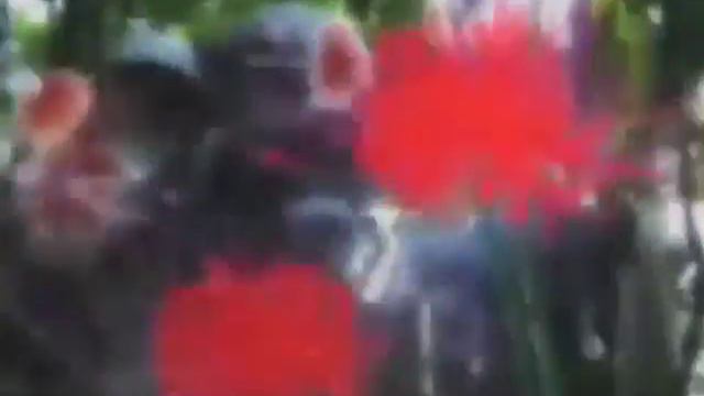 Hatsune Miku - Kagome Kagome (rus sub) смотреть онлайн