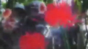 Hatsune Miku - Kagome Kagome (rus sub)