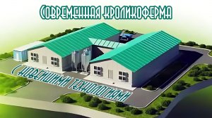 Современная кроликоферма