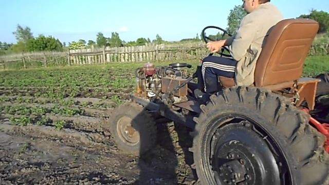 Прополка междурядий картофеля стрельчатыми лапами.