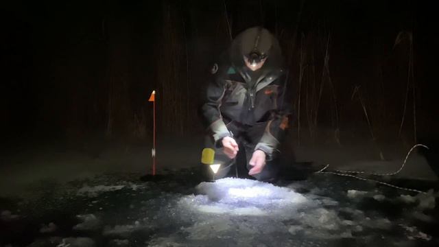 Жерлицы не давали мне покою! Постоянные сработки на жерлицы. Флажки горят, один за одним. смотреть онлайн