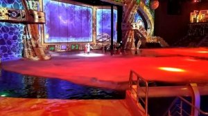 москвариум шоу новогодний круиз декабрь 2021.  1часть