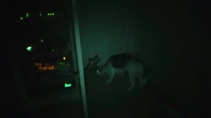 ШЕРЛОК В БЕДЕ. СИРЕНОГОЛОВЫЙ НАШЕЛ ЕГО. БАТЯ СПЕШИТ НА ПОМОЩЬ. БРОС ШОУ ПЕТ