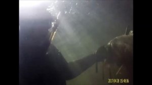 Подводная охота на Волге в Саратовской обл.(Черебаево)