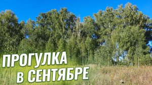 Прогулка в сентябре