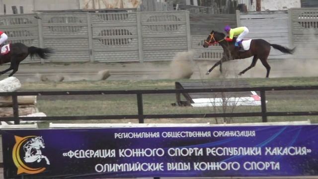 Приз Открытия скакового сезона-2019  Скачка для лошадей верховых пород старшего возраста смотреть онлайн