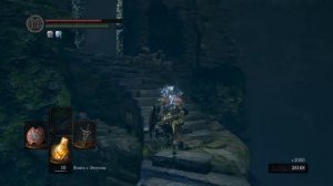 DARK SOULS REMASTERED - Легкий фарм душ
за час 100 000 душ