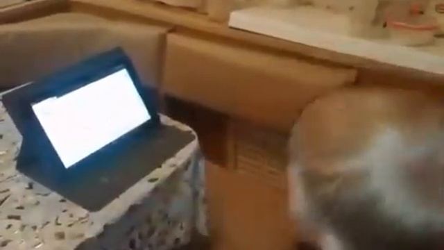 5-летний омич научился складывать в уме 3х-значные числа смотреть онлайн