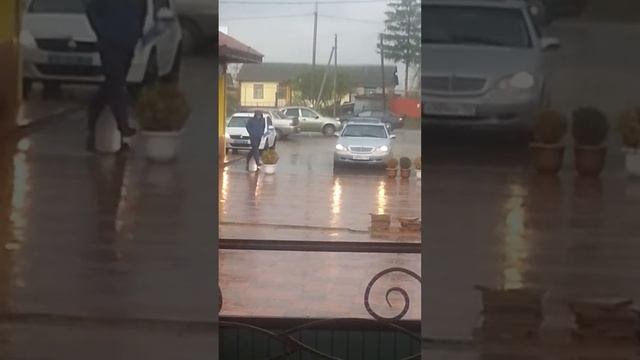 Орел кафе Альшанка смотреть онлайн