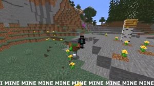 MINE MINE MINE MINE (MINECRAFT SONG BY SPIDERWITH4RS