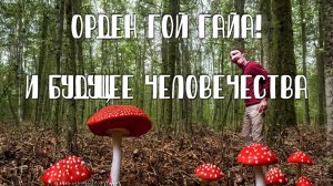 Голос Вселенной - #164 Орден Гой Гайа и будущее человечества