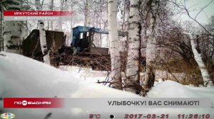 Фотоловушки помогают выявлять "чёрных лесорубов" в Иркутской области