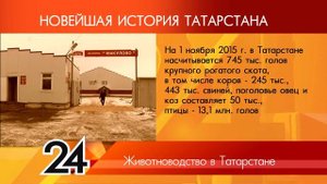 ИСТОРИЯ ТАТАРСТАНА - Животноводство в Татарстане
