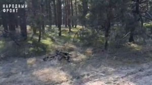 Борьба против Бабы Яги.