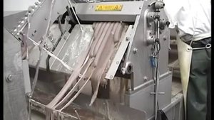 Линия очистки черевы свиней