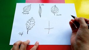Как БЫСТРО и ПРОСТО нарисовать ЛИСТЬЯ - Береза, Ива, Липа, Дуб, Клен и Рябина