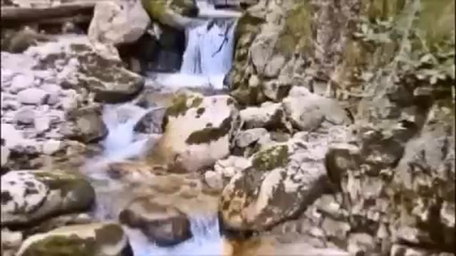 Дочь мужа от первого брака требует на 8 марта дорогущий подарок. Я против, а муж собирается покупат смотреть онлайн