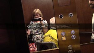 Исаакиевский собор. Спуск.
