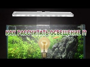 КАК РАССЧИТАТЬ КОЛИЧЕСТВО ОСВЕЩЕНИЯ ДЛЯ АКВАРИУМА !?