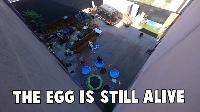 DROPPING 10 THINGS INTO A TRAMPOLINE... смотреть онлайн