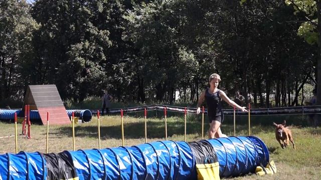 Воздроганова Наталья / Родезийский риджбек Алекс / Аджилити смотреть онлайн