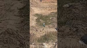 Ищут закладку Казань