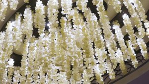 John & Caroline feature film