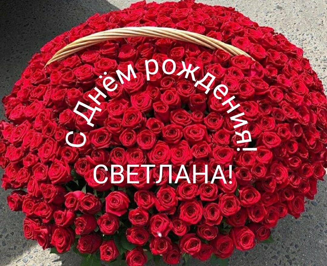 С Днём рождения, Светлана!