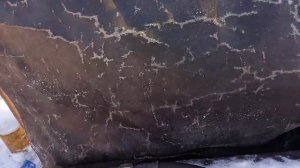 @ОБЗОР ДТ 75 ПОДОГРЕВ СТАРТЕР