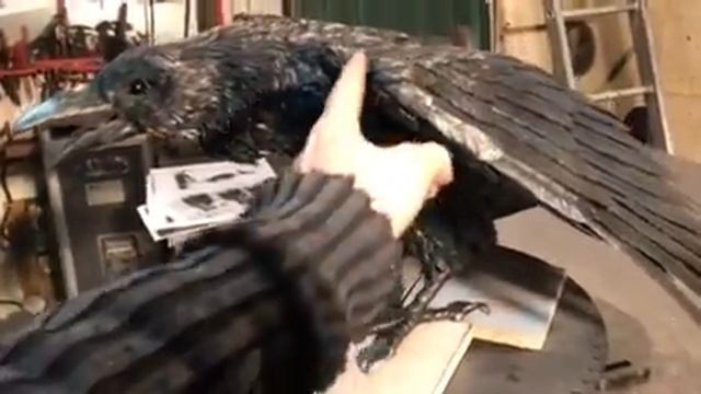 Ворон смотреть онлайн