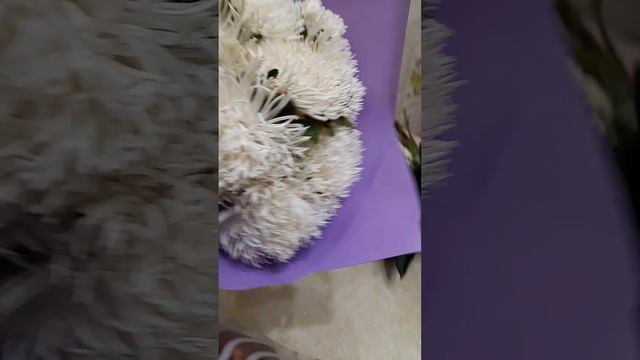 Делаю букеты на 1 сентября. Срезала астры