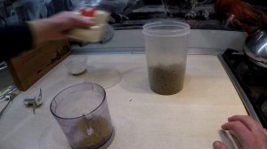 Карповая насадка из кошачьего корма