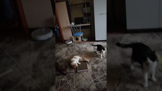 Дружная компания?