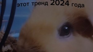 ✨танцуй если знаешь этот тренд 2024 года ✨
я сделала свою заставку. Как вам?