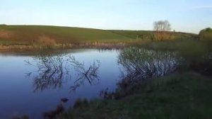 Пруд в Вазерках