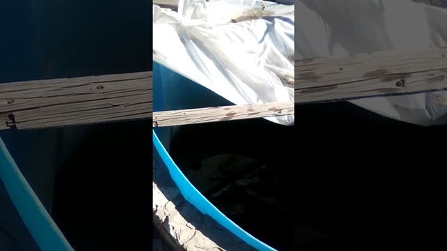 бассейн из 10 кубой бочки смотреть онлайн