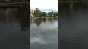 Светлогорск в октябре??♂️?♀️