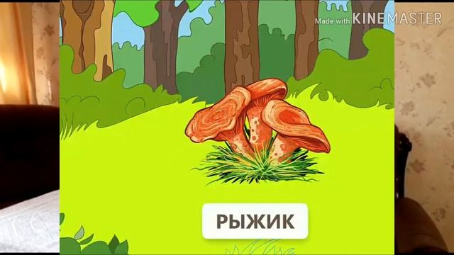 Видео-урок по природоведению на тему: