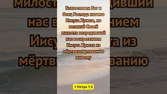 Бог Есть Любов!❤️