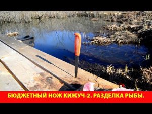Бюджетный нож Кижуч-2. Разделка рыбы.