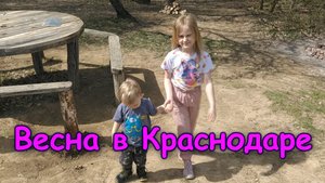 Весна в Краснодаре Мишутка гуляет в лесу #MimiBoom