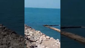 Алексей Потехин и группа Трэк-Мы едем в Сочи