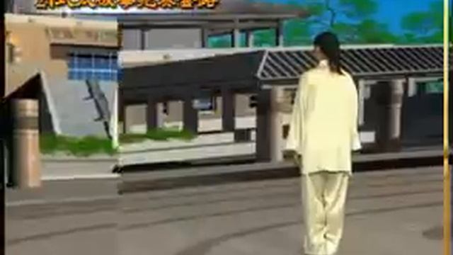 Тайцзицюань. 24 формы янши. Китайский язык